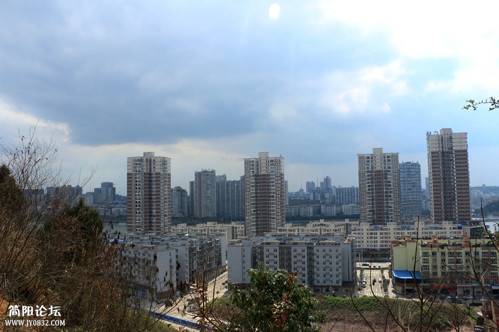 IMG_0726.jpg