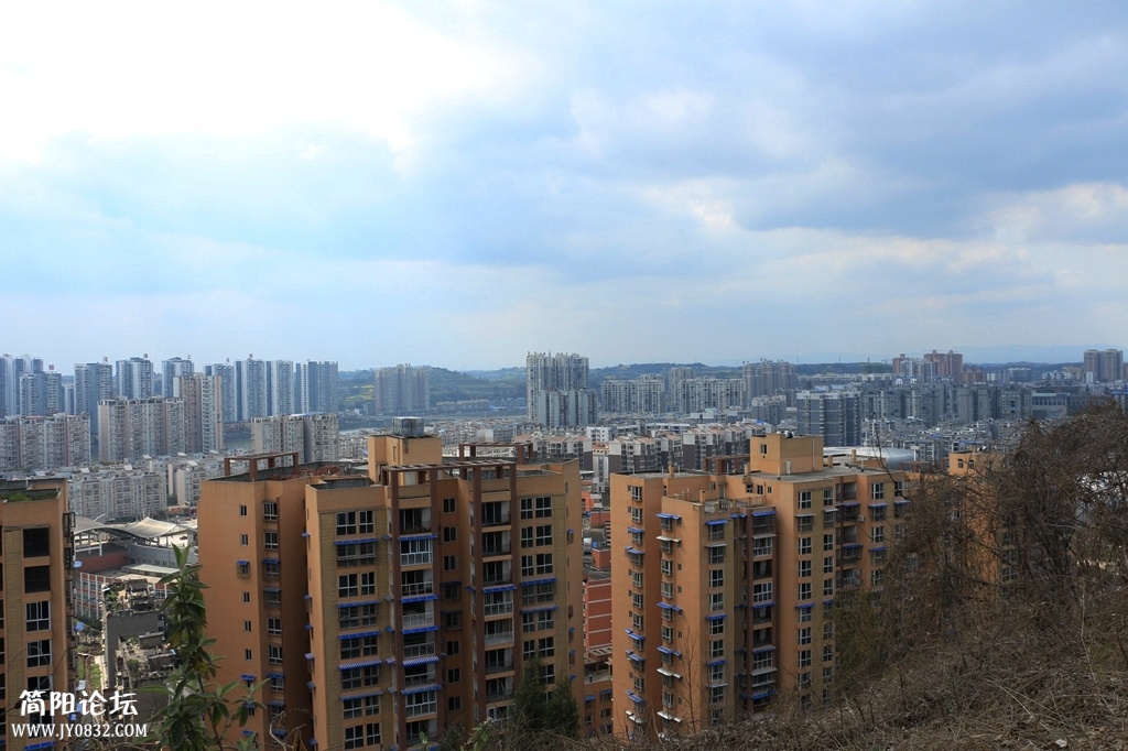 IMG_0730.jpg
