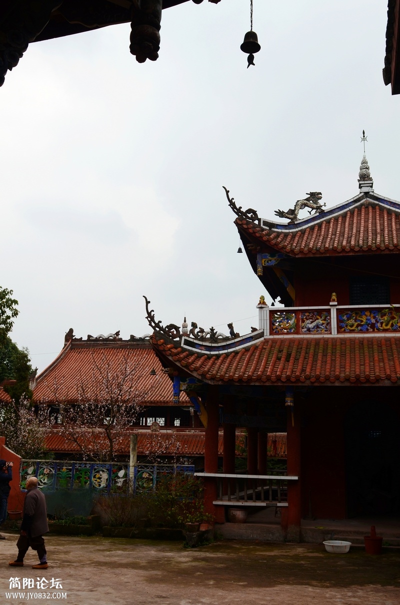 DSC_9153.JPG