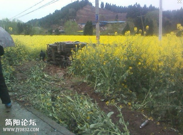 1車禍2.jpg