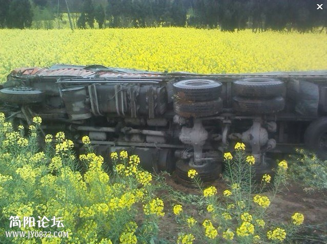 1車禍3.jpg