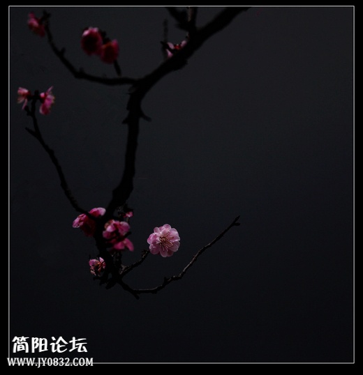 IMG_9256a_副本aaao.jpg
