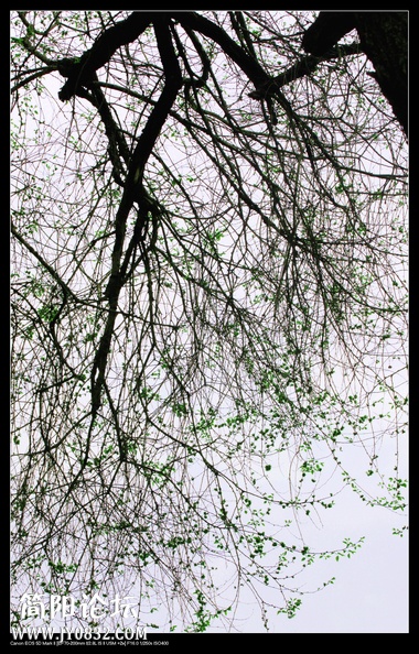 IMG_9754ao.jpg