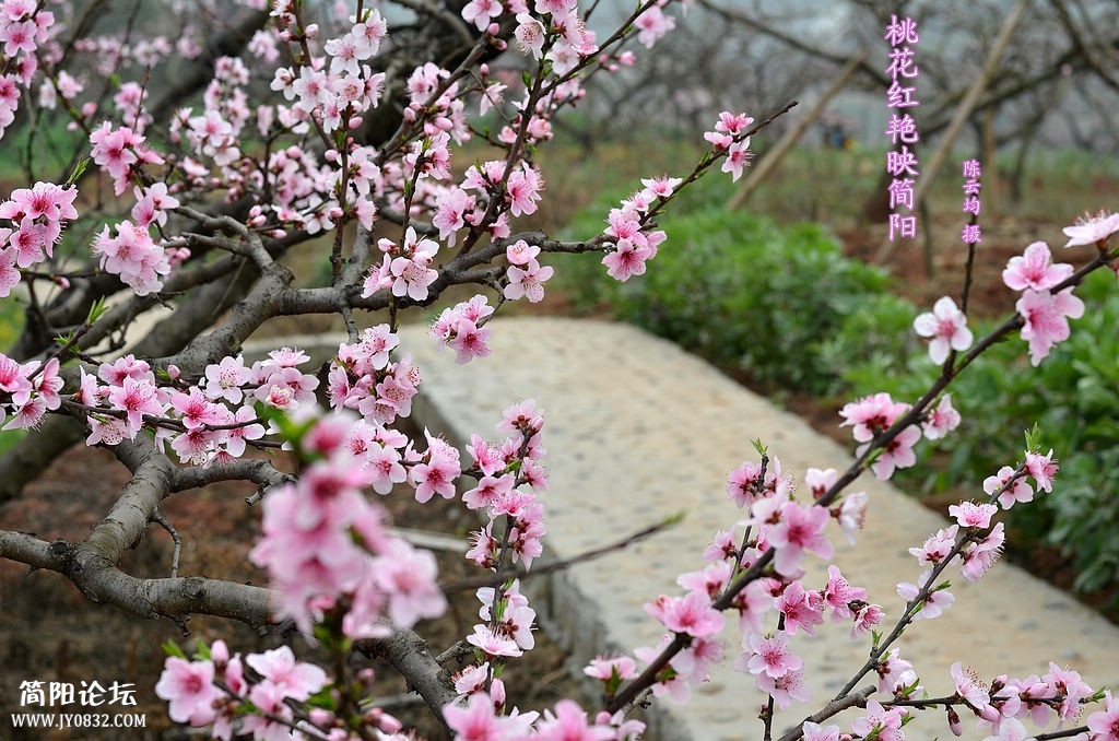 DSC_0024_副本.jpg