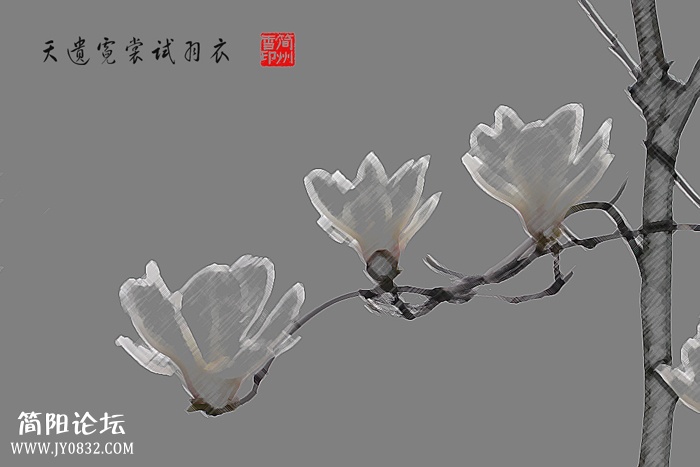 P1000331副本-1副本副本.jpg