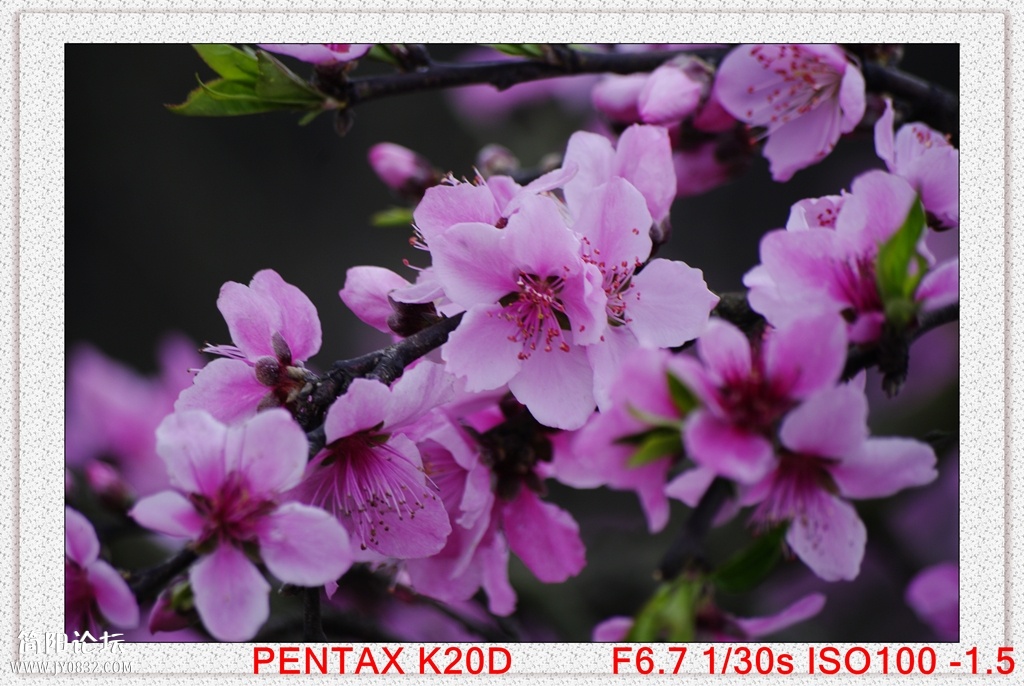 _IGP6702_副本.jpg