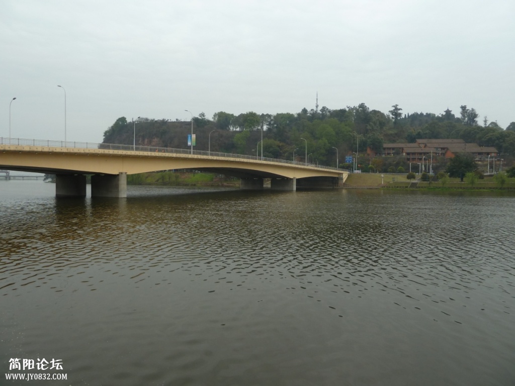 P1140217.jpg