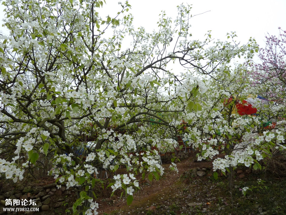 P1140254_副本.jpg