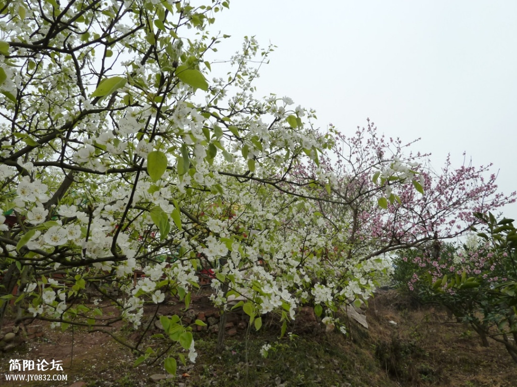 P1140255_副本.jpg