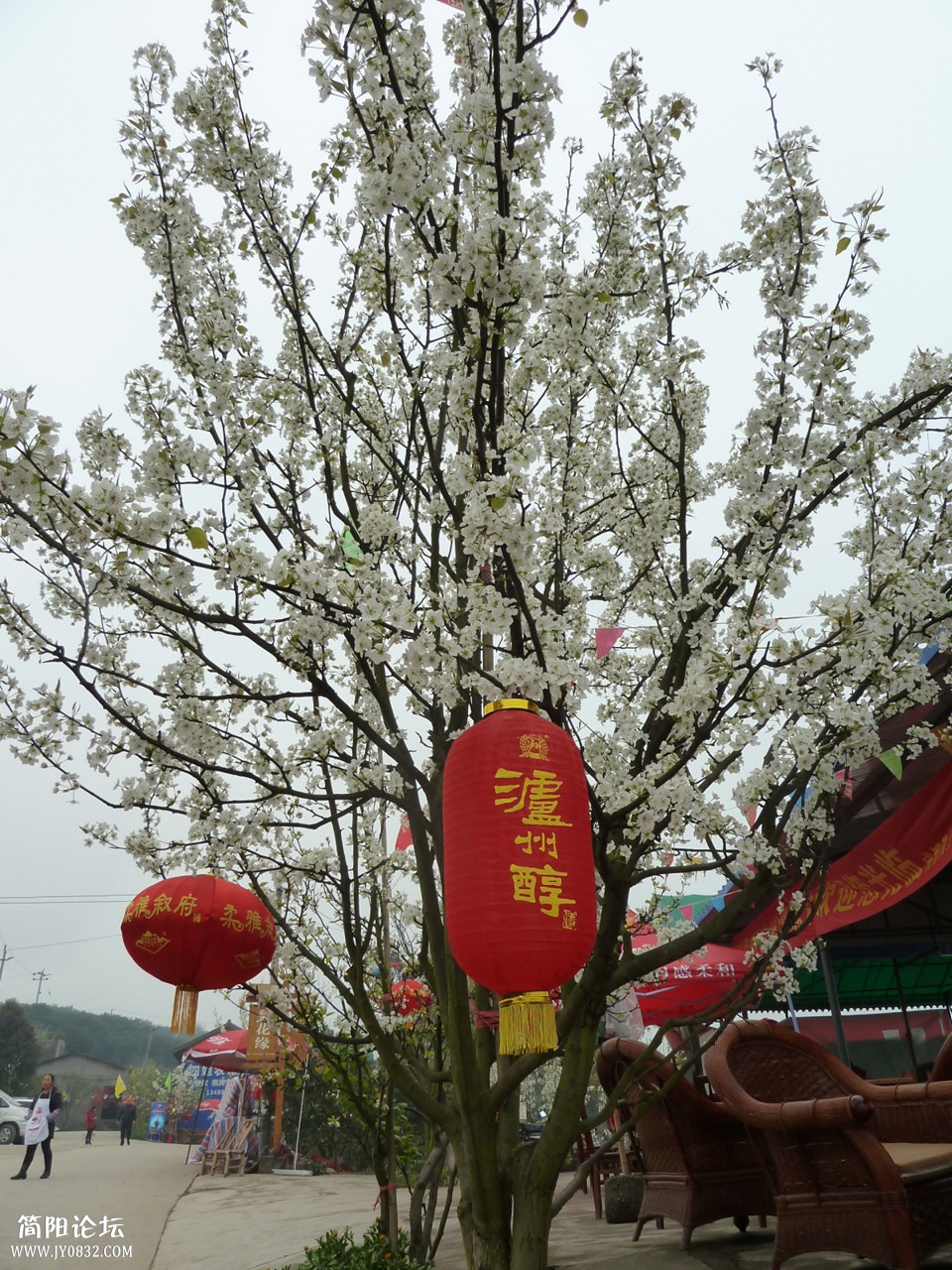 P1140291_副本.jpg
