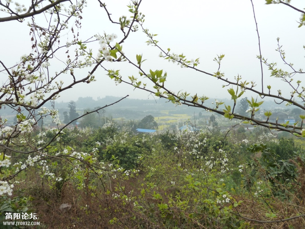 P1140299_副本.jpg