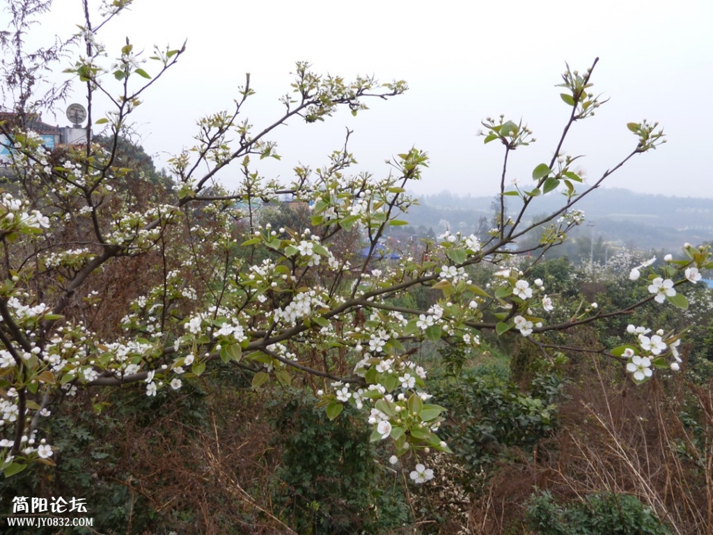 P1140300_副本.jpg