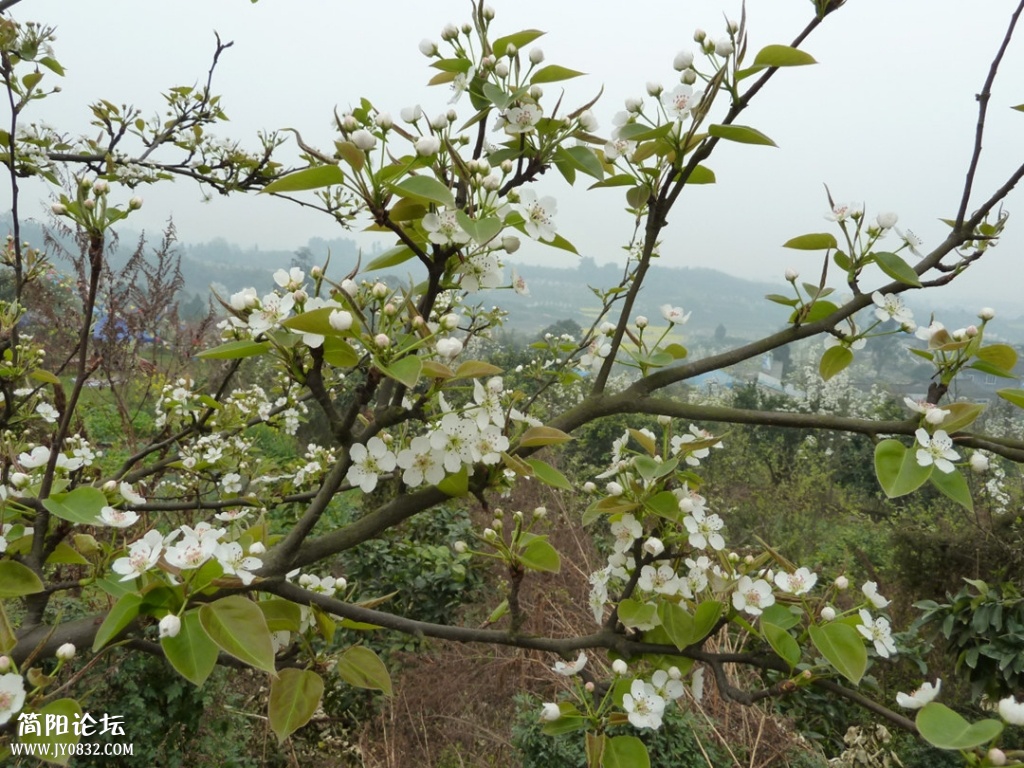 P1140301_副本.jpg