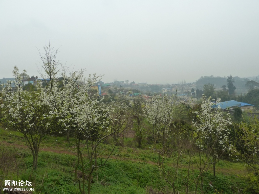 P1140307.jpg