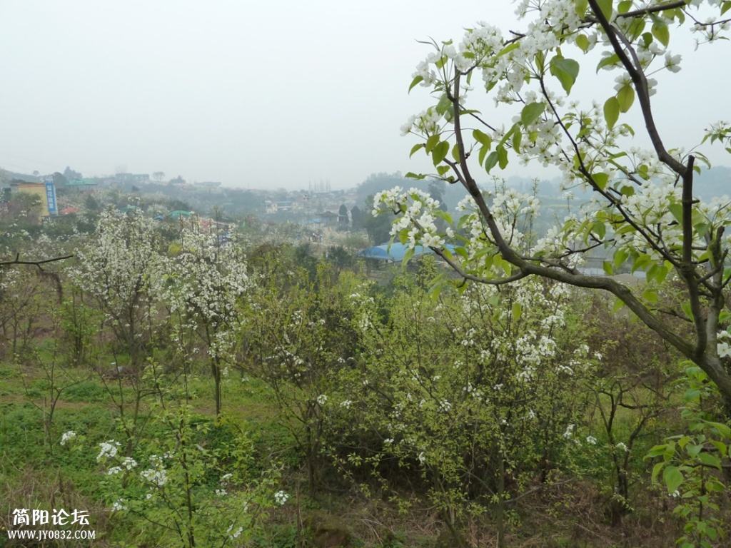 P1140309_副本.jpg