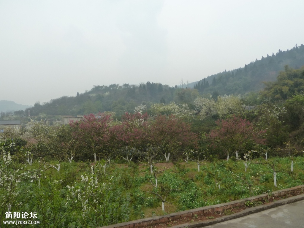 P1140324.jpg