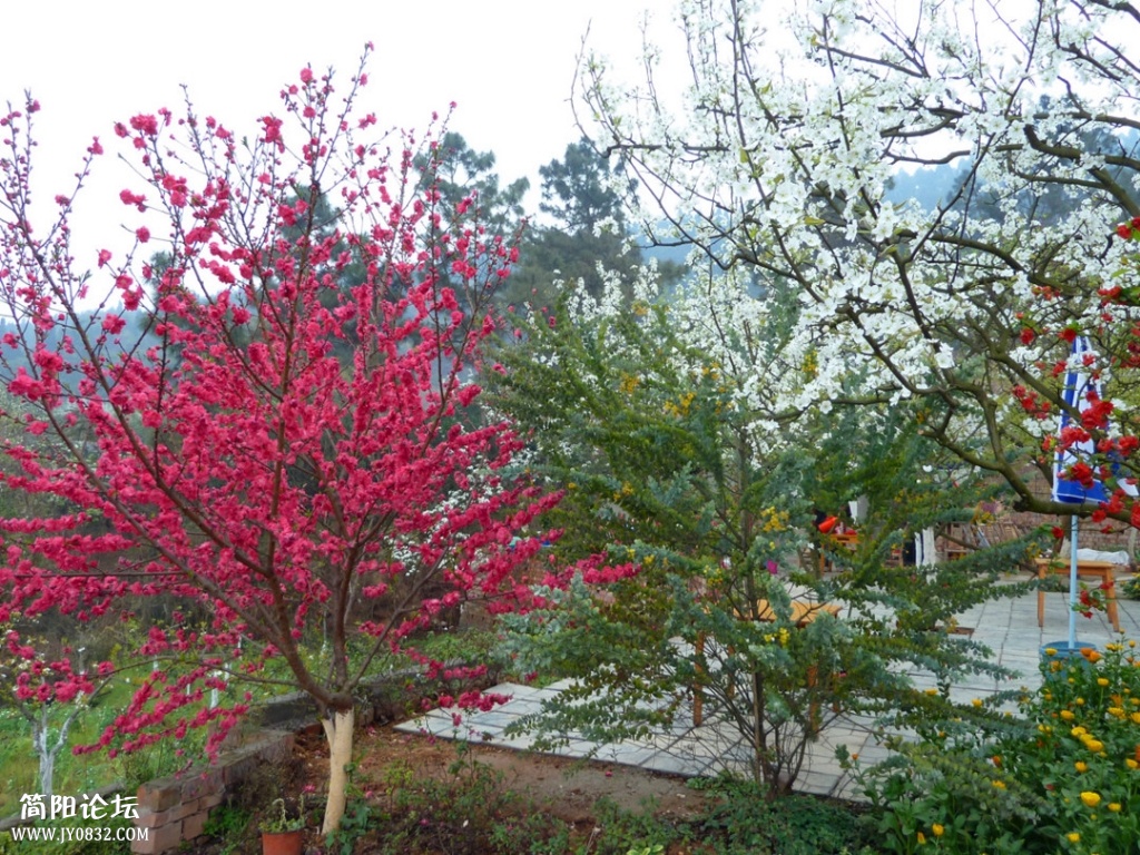 P1140325_副本.jpg