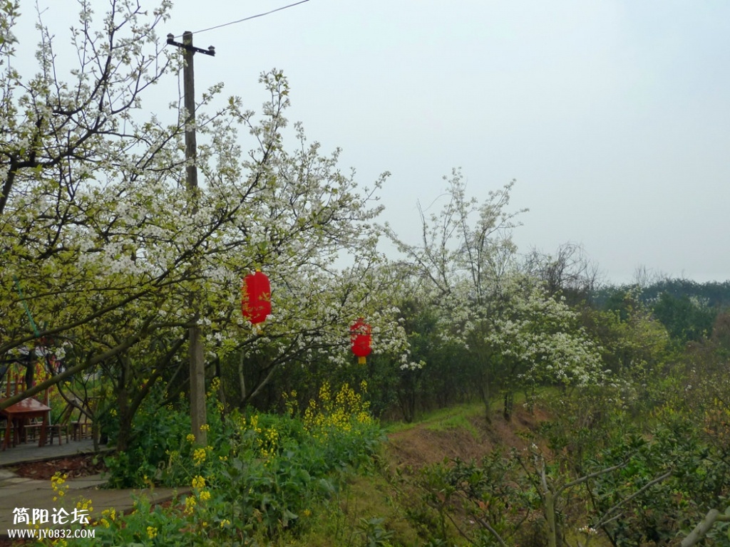 P1140328_副本.jpg