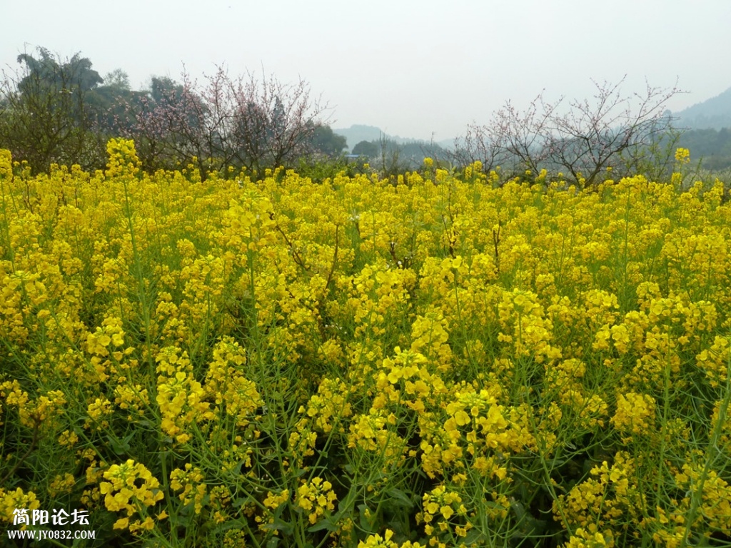 P1140334_副本.jpg