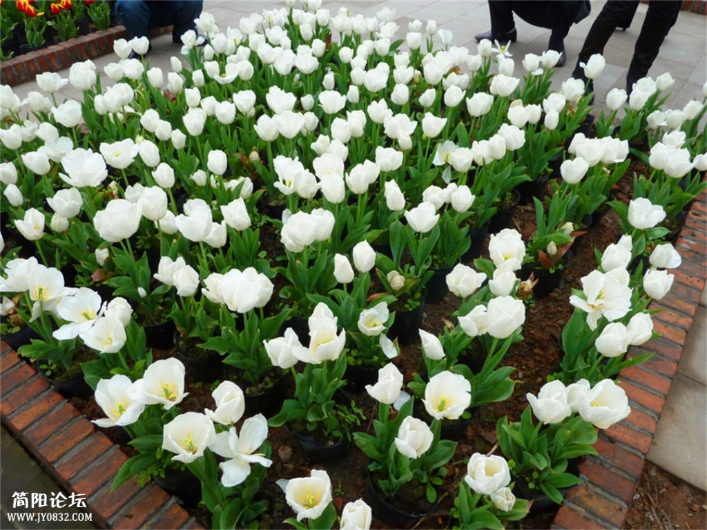P1140344.jpg