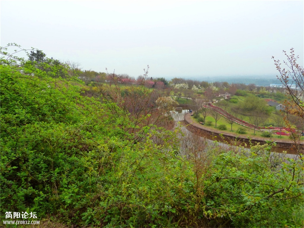 P1140430.jpg