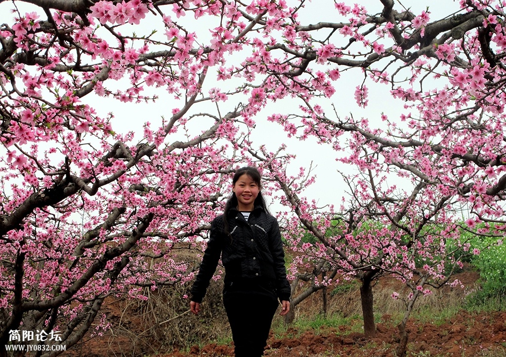 《人面桃花相映红》——邓仲摄