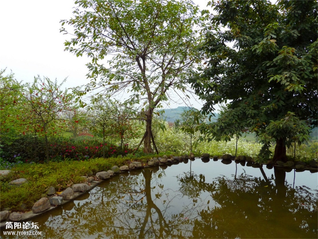 P1140446.jpg