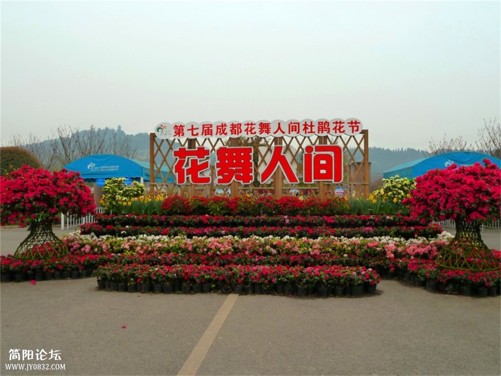 P1140480.jpg