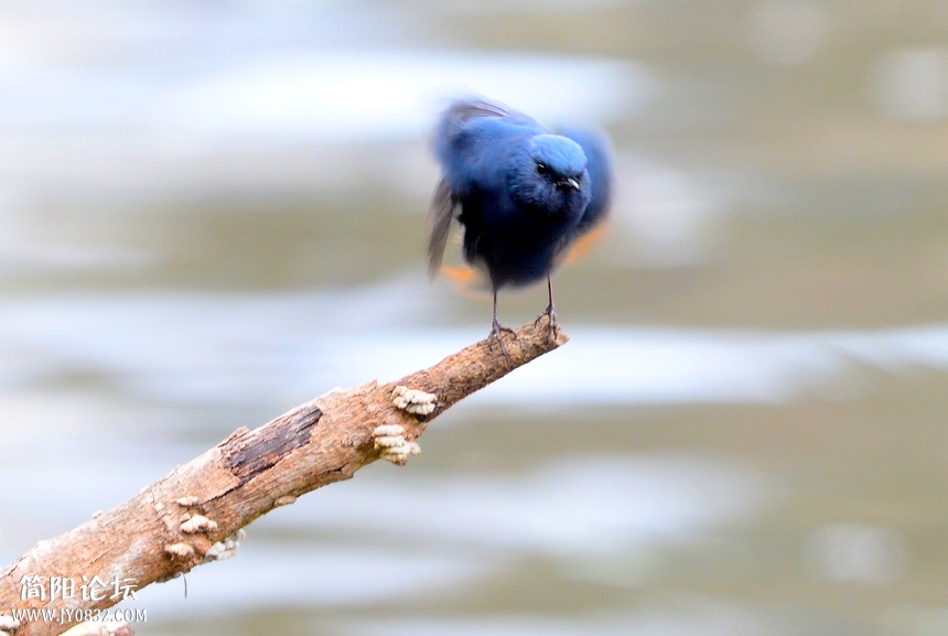 DSC_4007.jpg