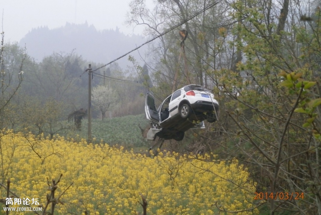車禍12.jpg