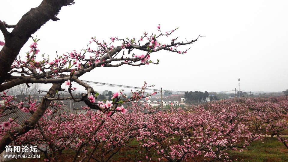 IMG_20140325_182720_副本.jpg