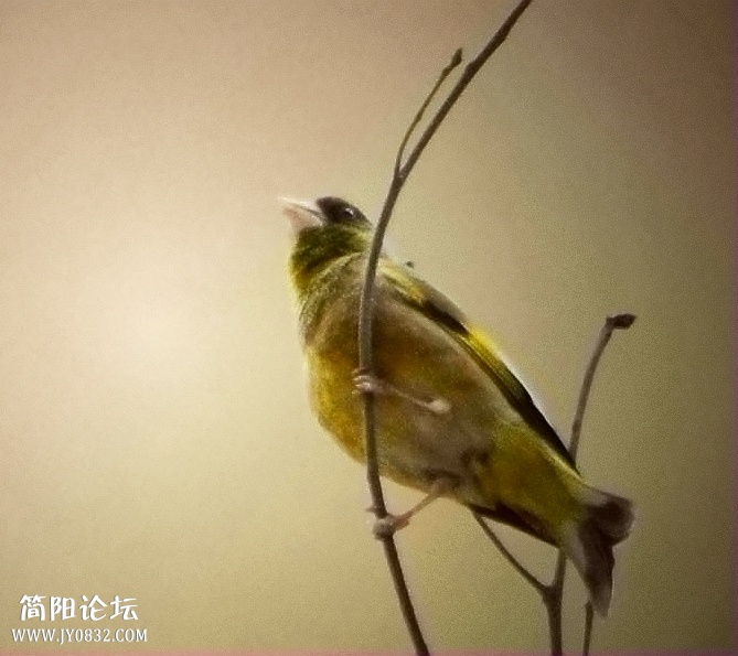 DSC_0164_副本.jpg