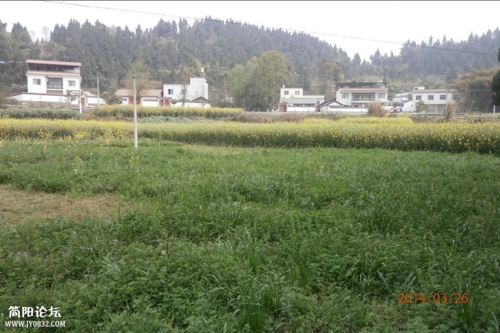 鄉東村8.jpg