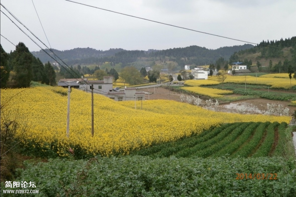 鄉東村13.jpg