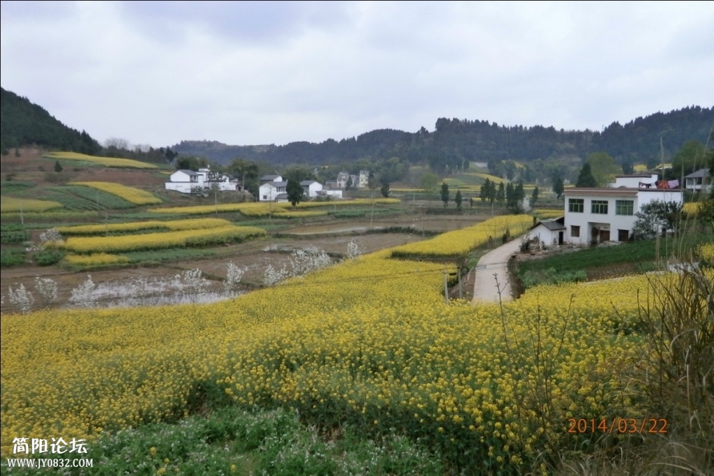 鄉東村15.jpg