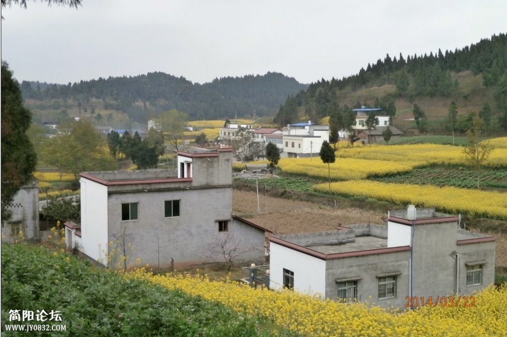 鄉東村16.jpg