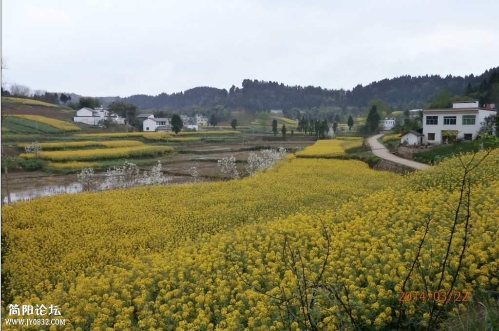 鄉東村17.jpg