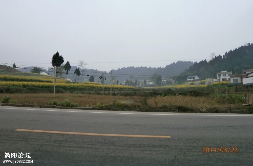 鄉東村20.jpg