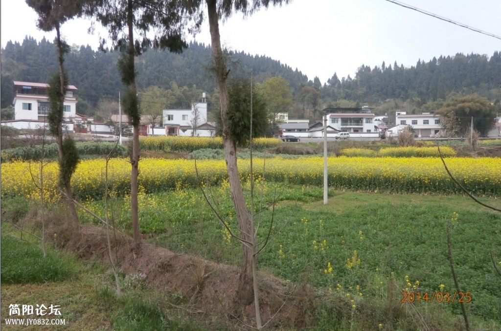 鄉東村23.jpg