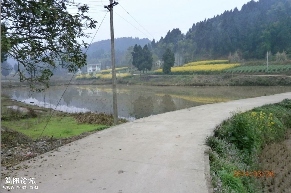 鄉東村28.jpg