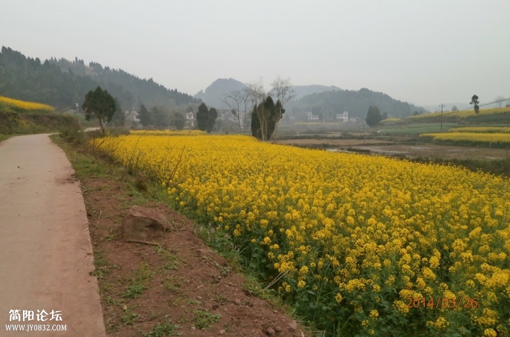鄉東村32.jpg