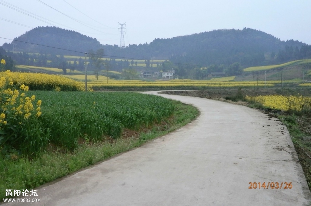 鄉東村33.jpg