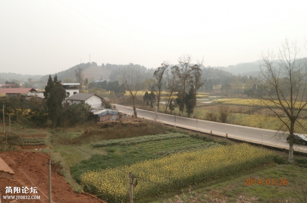 鄉東村36.jpg
