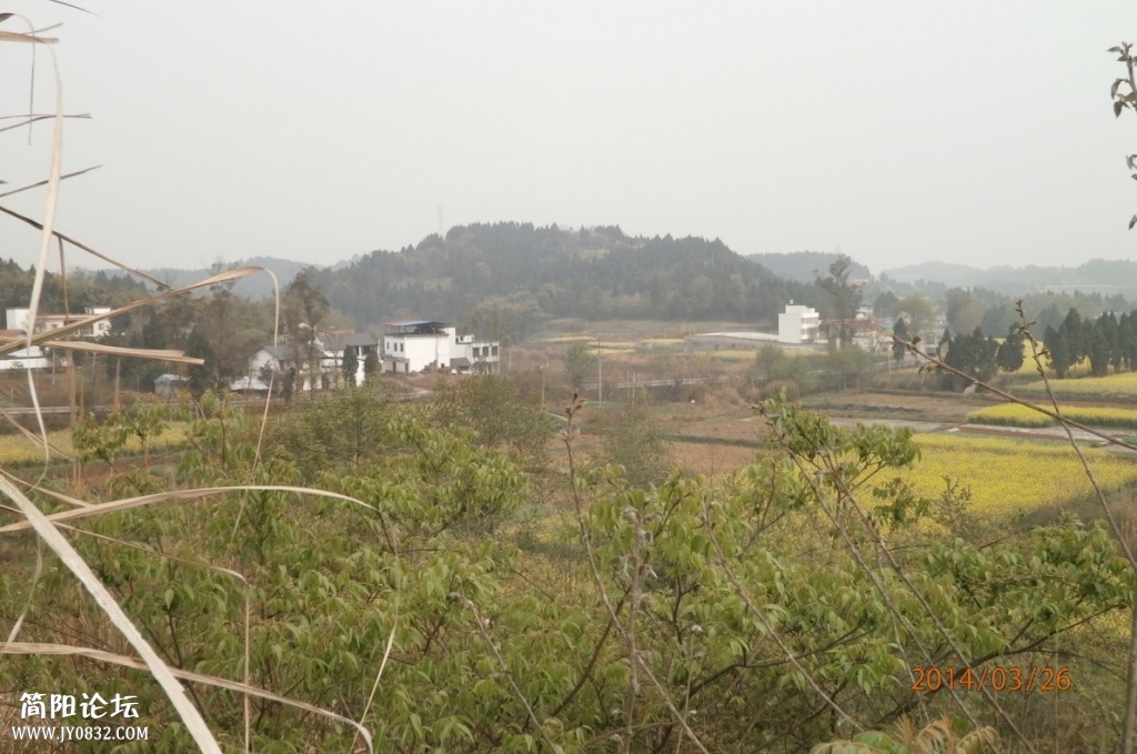 鄉東村39.jpg