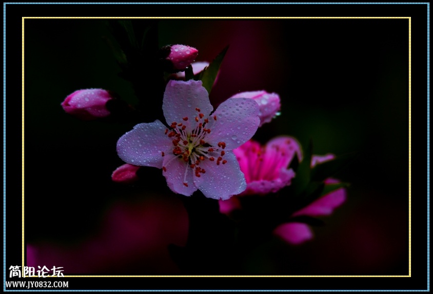 DSC_5367.jpg