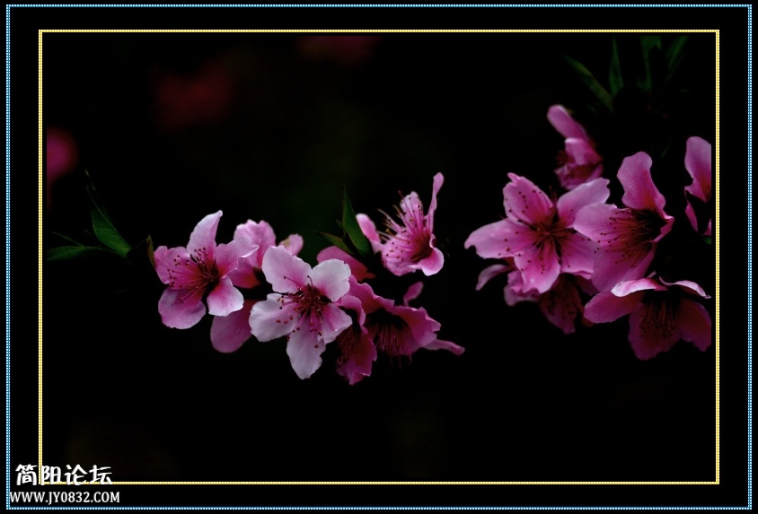 DSC_5447.jpg