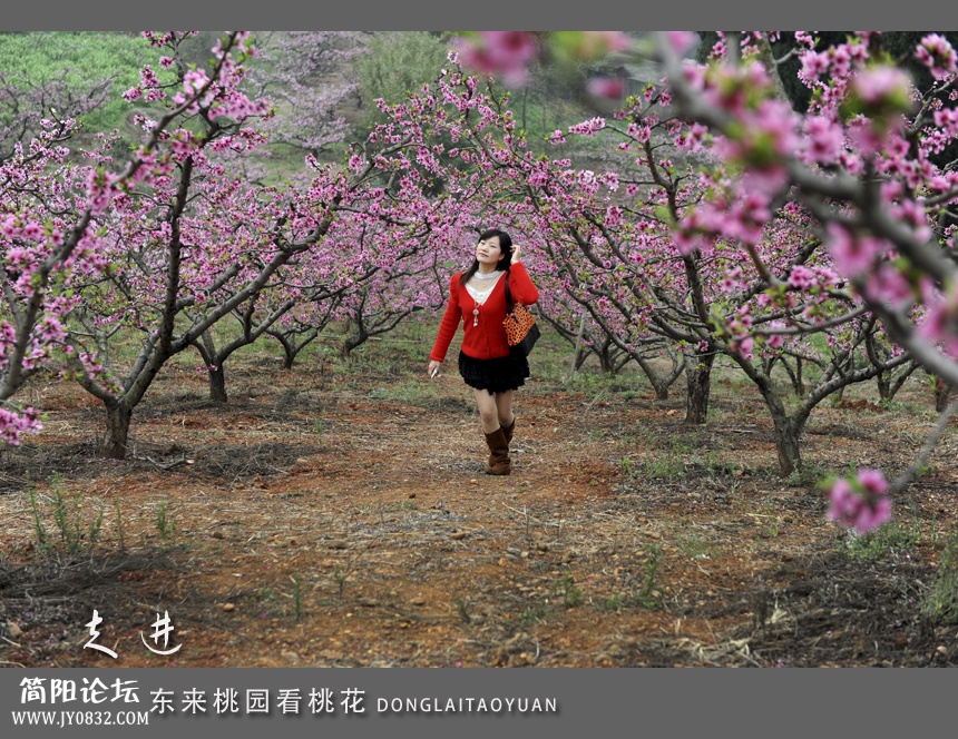 东来桃园01.jpg