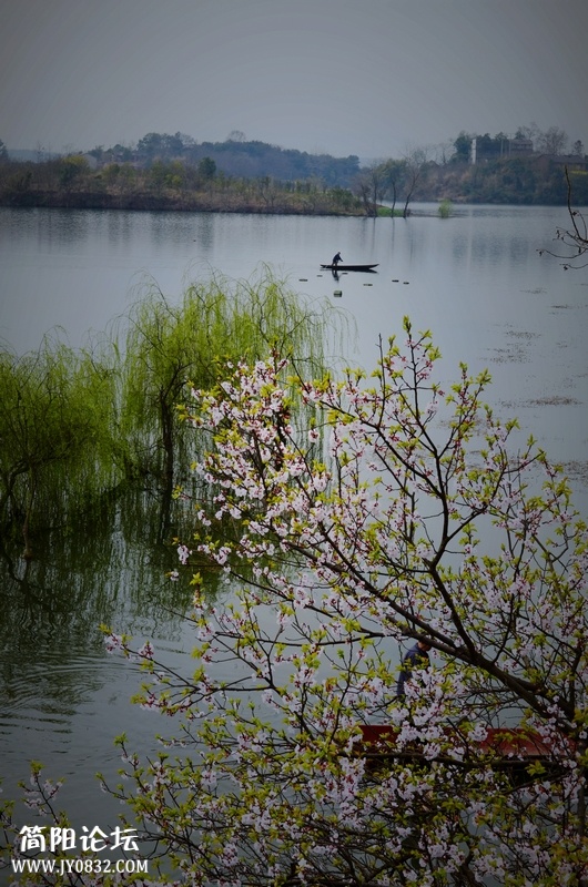 湖边春色摄于三岔湖.JPG