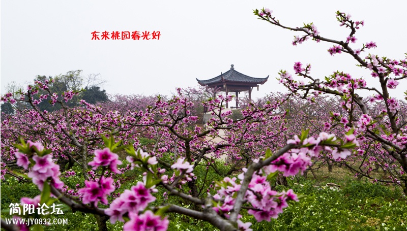 东来桃园春光好-1-wl.jpg