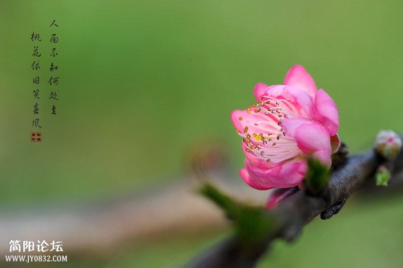 DSC_0348副本.jpg